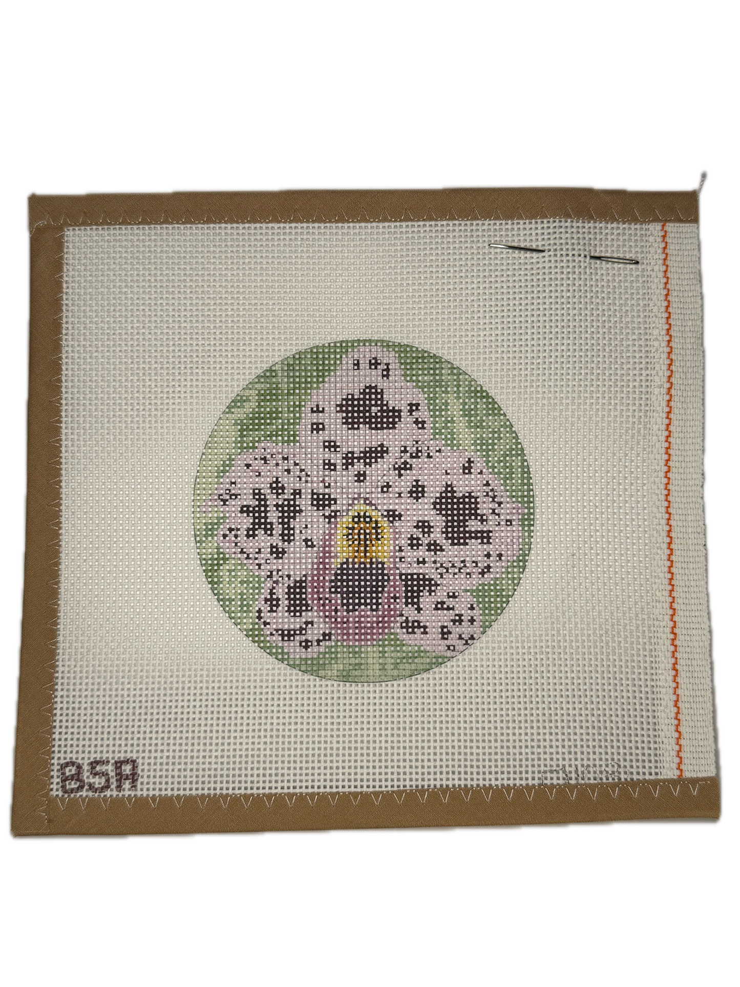 BSA2015 Orchid Round