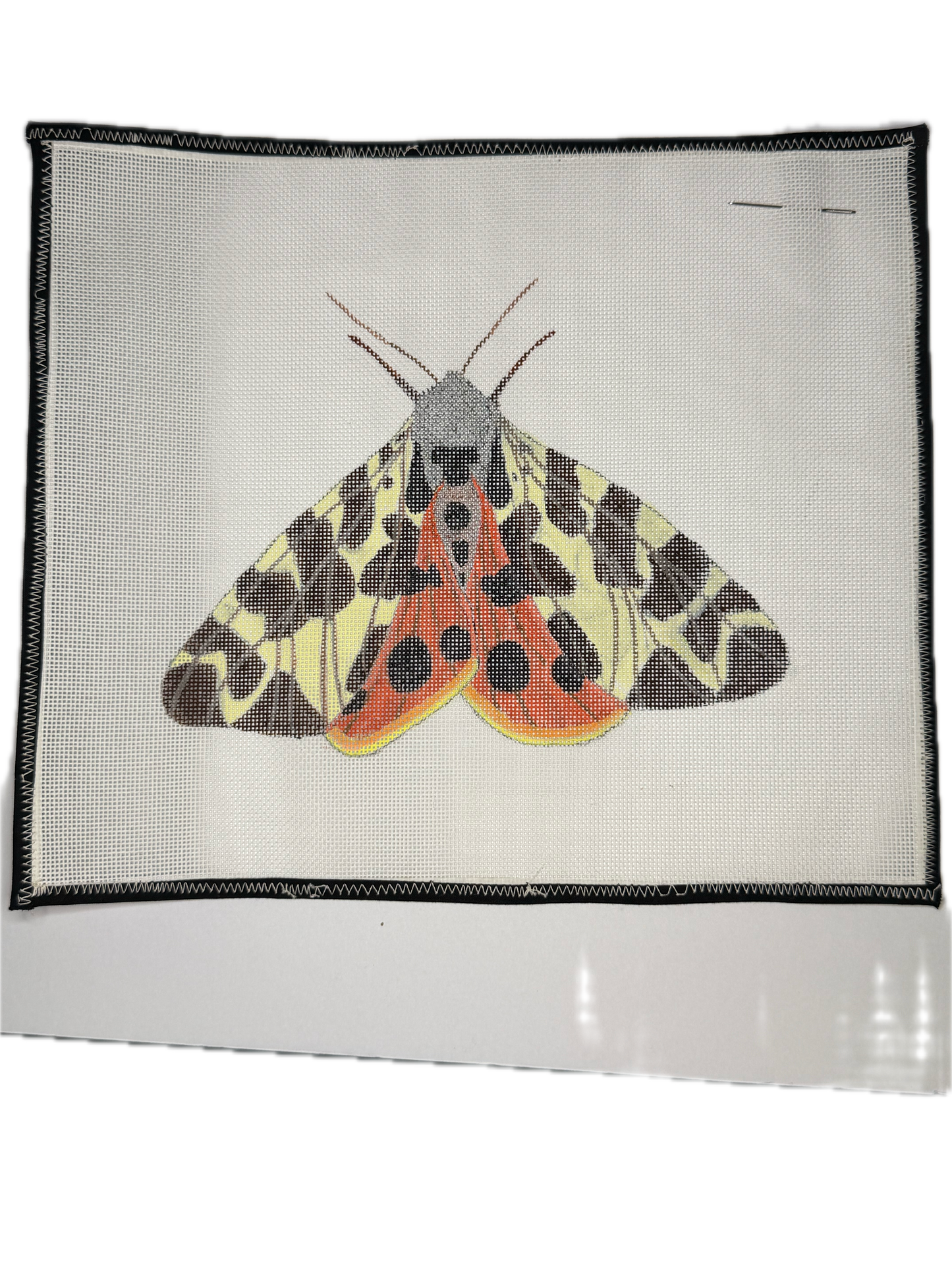 BSA2019 Tiger Moth (Large)