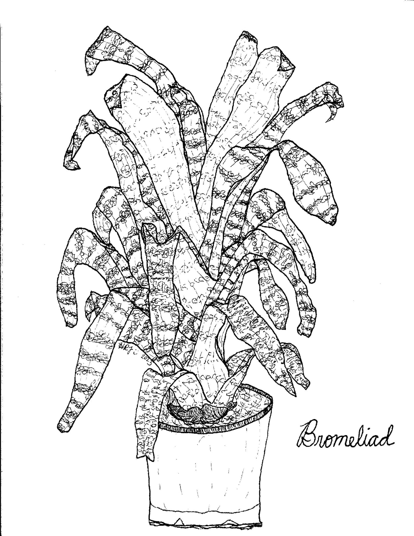 Digital Download: Bromeliad in a Pot Illustration