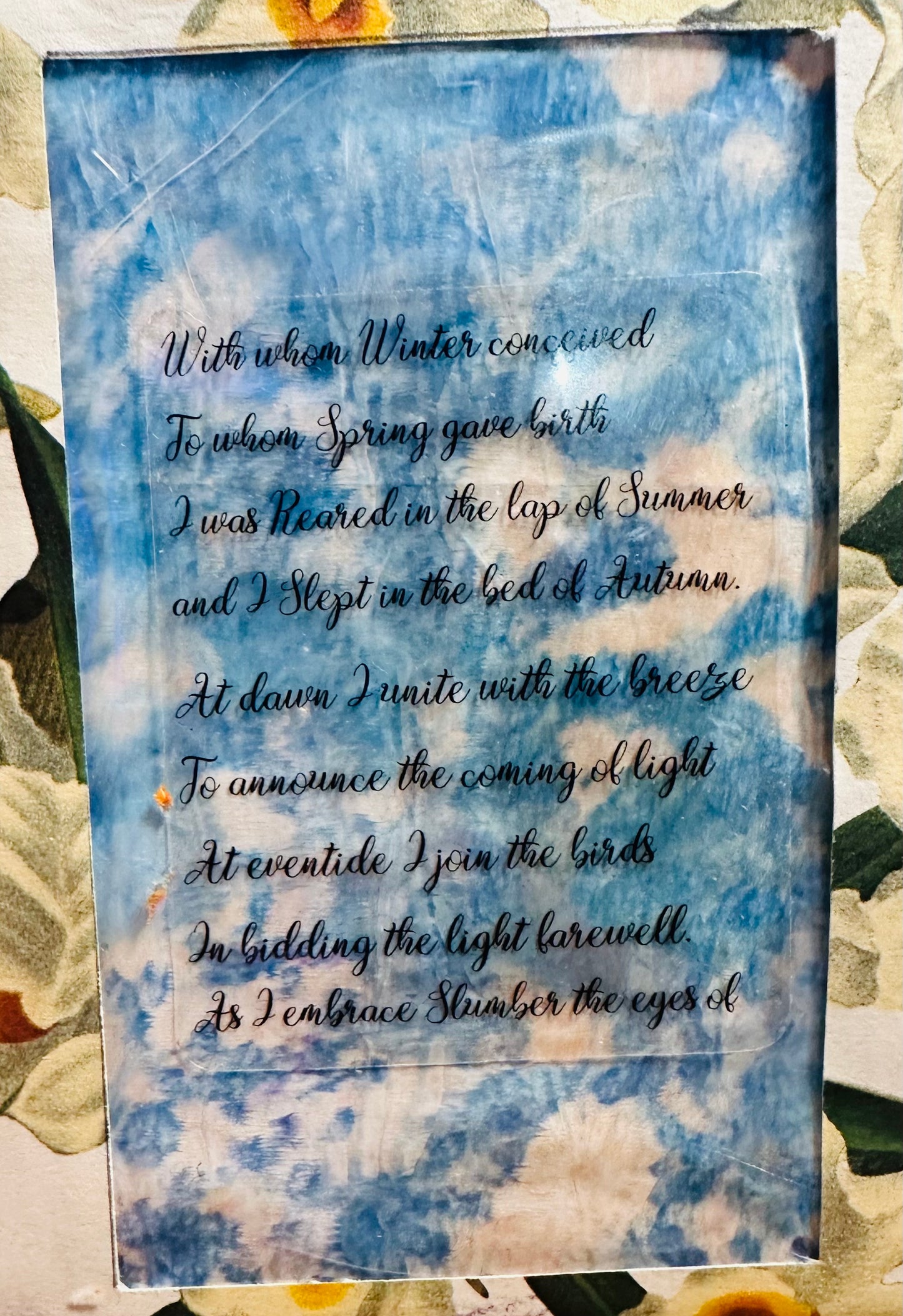 Oncidium Orchid Journal