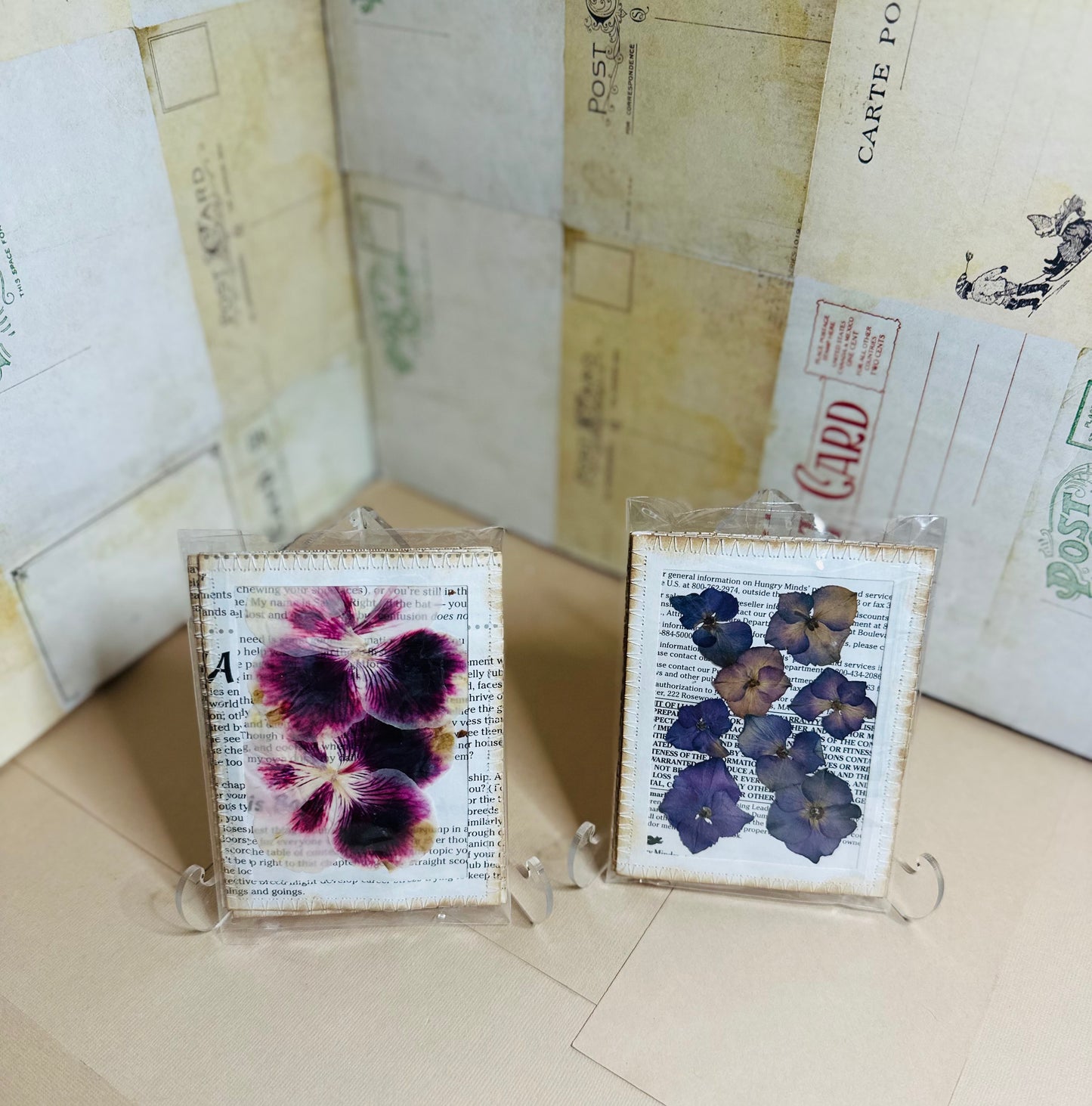 Dried Flower Specimen Card Set