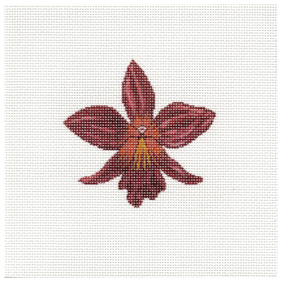 BSA2014 Red Orchid
