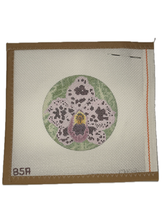 BSA2015 Orchid Round