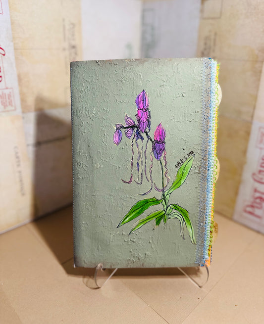 Paphiopedilum Orchid Journal