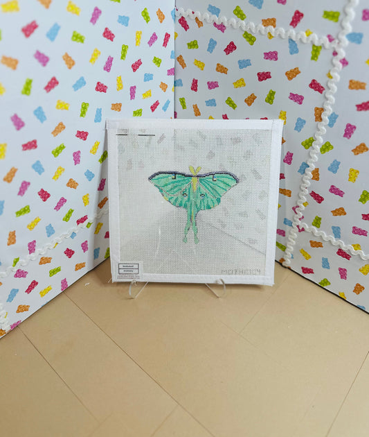 Indian Moon Moth - MOTH1004