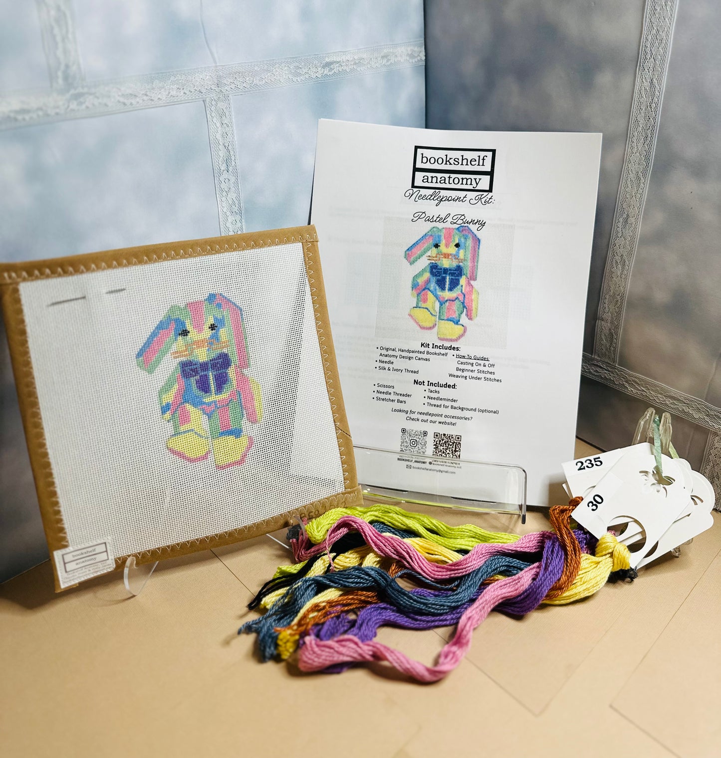 Bookshelf Anatomy Designs Needlepoint Kits