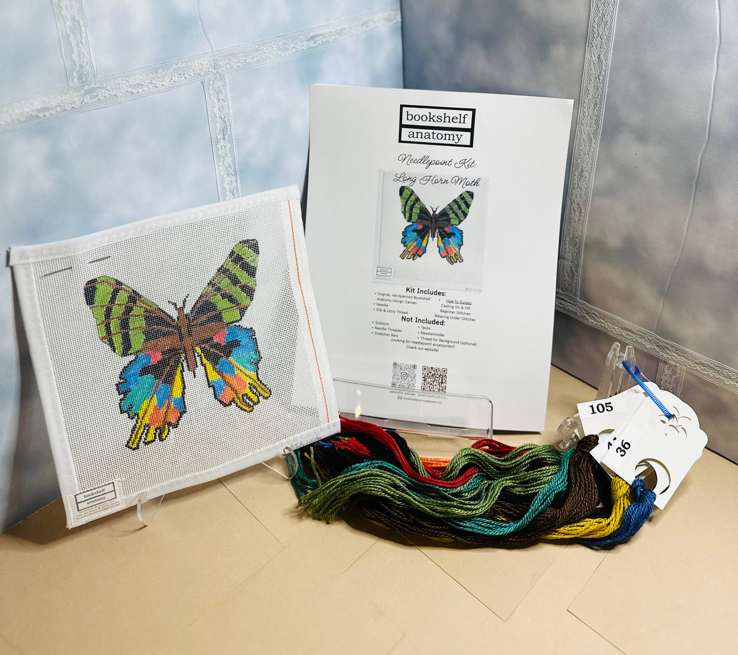 Bookshelf Anatomy Designs Needlepoint Kits