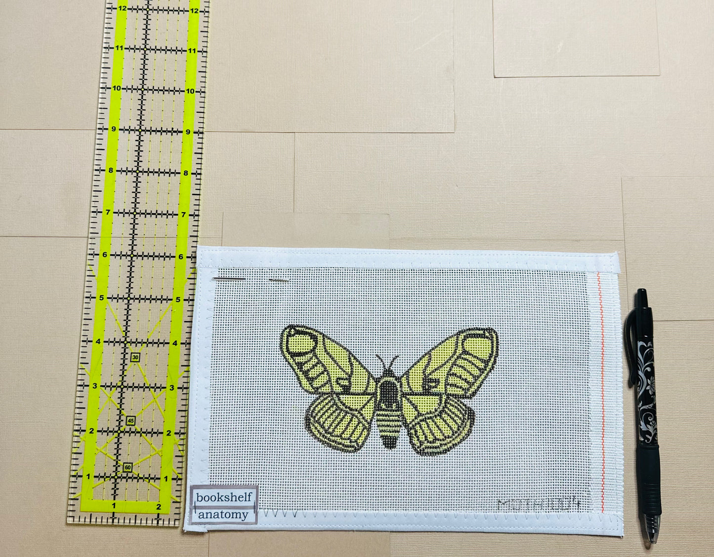 Yellow and Black Moth - MOTH1004