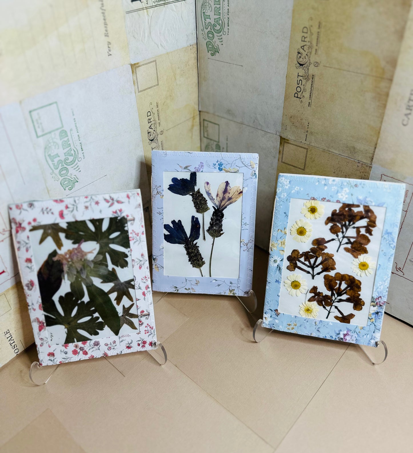 Dried Flower Specimen Booklet/Mini Journal Trio Set