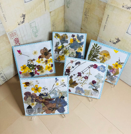 Dried Pressed Flower Packet, 50 pieces