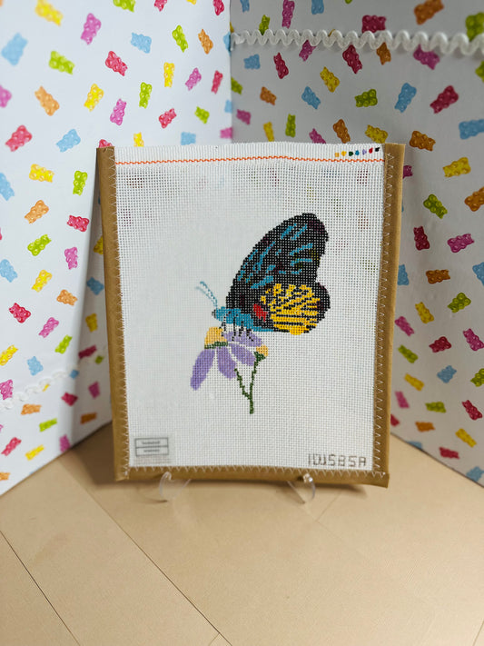 Landing Butterfly - Bookshelf Anatomy Design