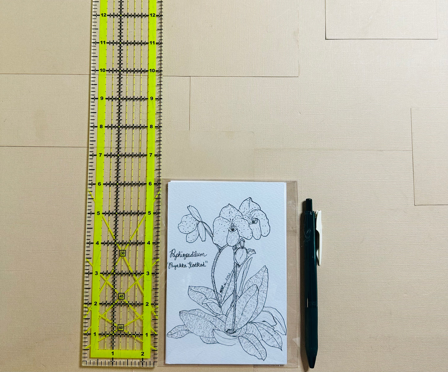 Paphiopedilum Orchid Postcard Bundle