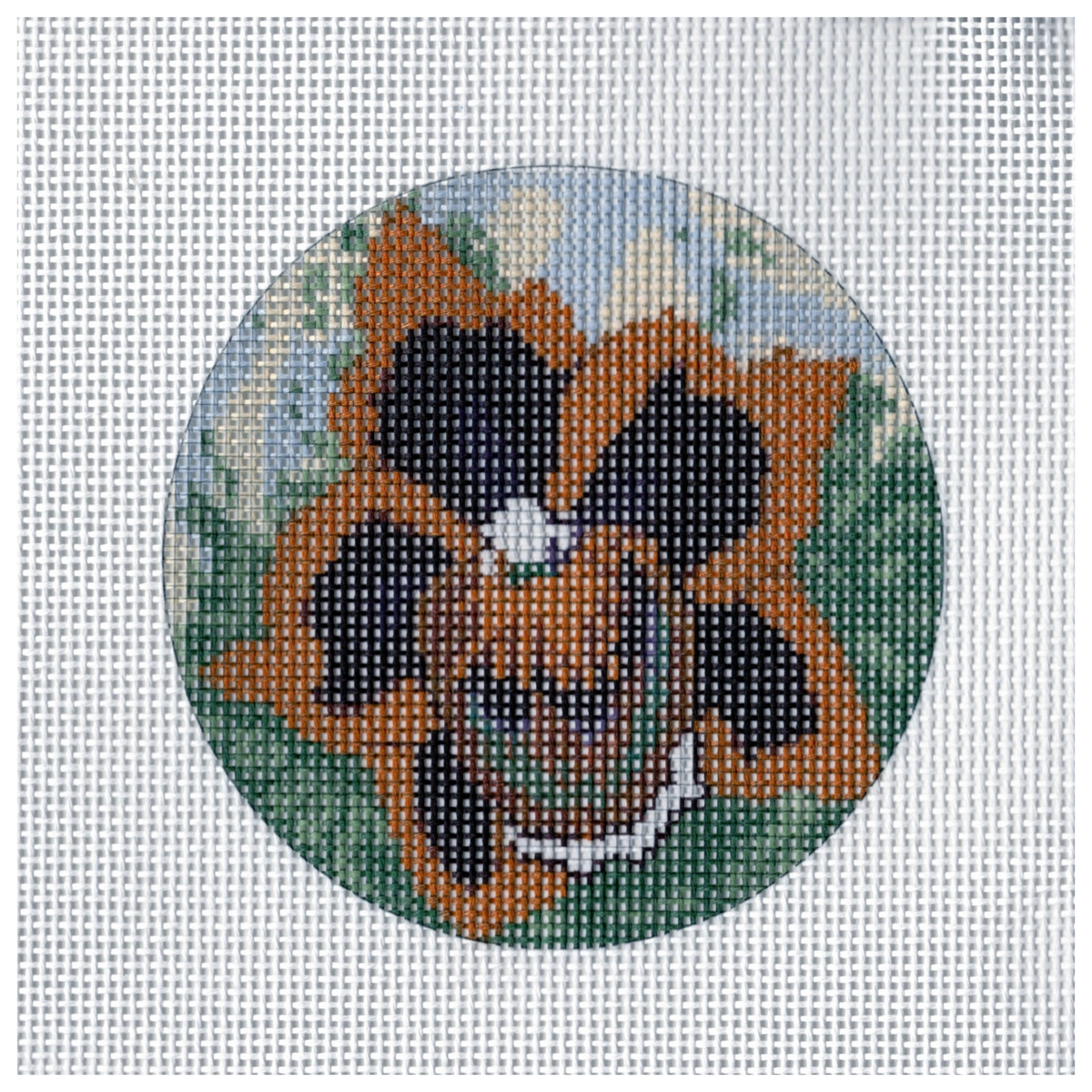 BSA2018 Orange Orchid Round