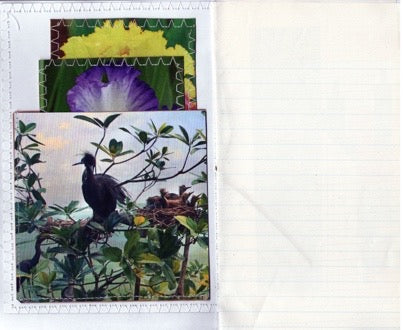 Dried Flower/Eco Print Junk/Art Journal