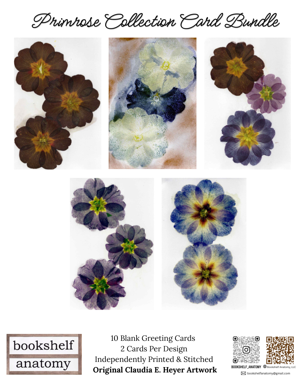 Blank Greeting Card Bundle, Primrose Collection – Bookshelf Anatomy