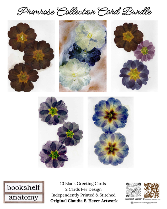 Blank Greeting Card Bundle, Primrose Collection