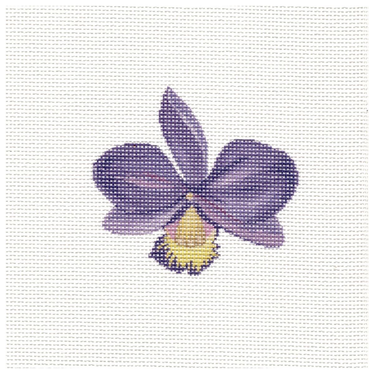 BSA2012 Purple Orchid