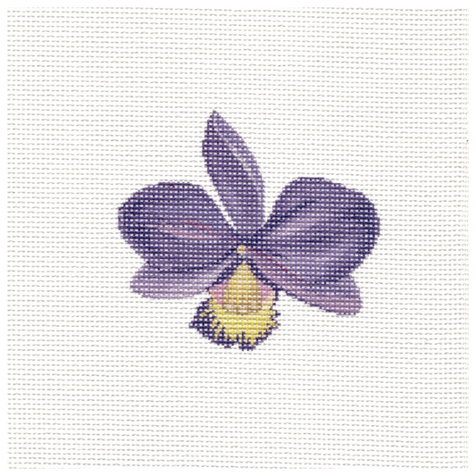BSA2012 Purple Orchid