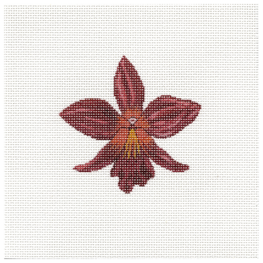 BSA2014 Red Orchid